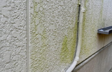 外壁の汚れの原因と対策。我が家を汚れから守り、キレイを維持するリフォームのコツ